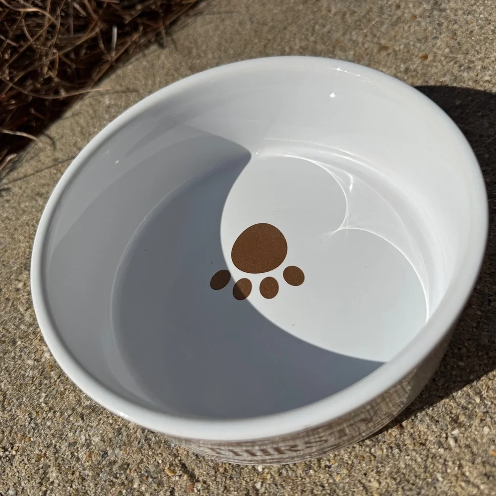 Pet Bundle - Bowls, Leash, Mat